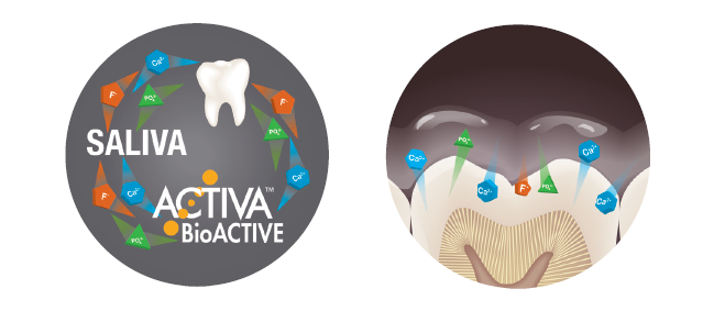 Lire la suite de l'article Les 5 principales raisons pour lesquelles ACTIVA™ BioACTIVE est bon pour vous