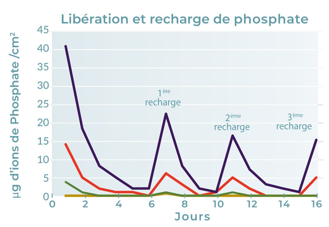 liberation-recharge-phosphate-activa-presto-2
