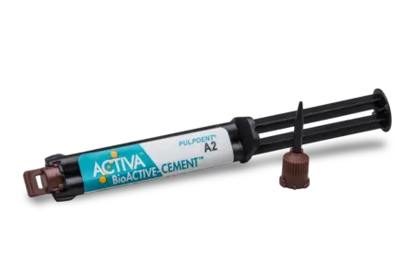 activa-bioactive-cement-detour